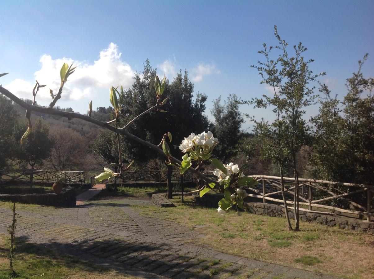 Le Cisterne Dell'Etna Ξενοδοχείο Calcerana-Marina Εξωτερικό φωτογραφία